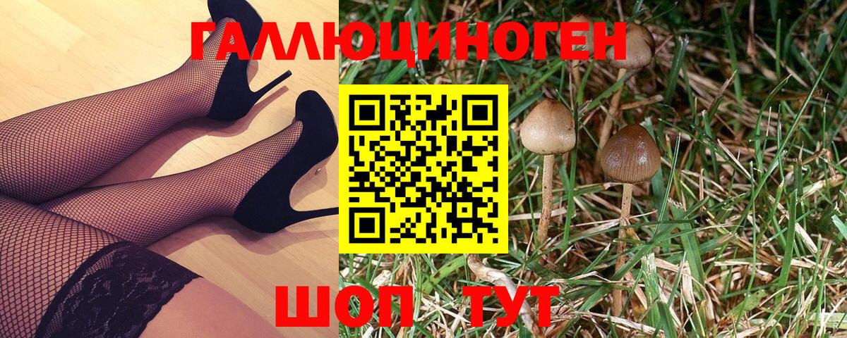 Псилоцибиновые грибы Magic Shrooms  Вход с VPN  Карачаевск 